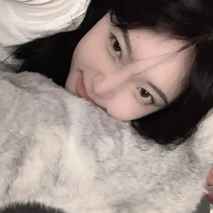 美国派2
